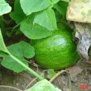 풍성농장 이미지