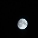 왕산골숲속 이미지