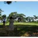 나정주유소 이미지