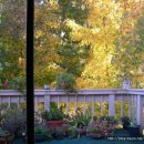 나의 창 이미지