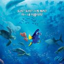 도리 티브이데일리