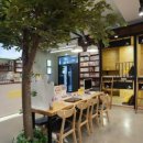 놀숲일산
