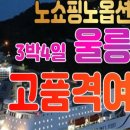 섬바디여행사