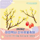 KT 전화국(원적로 399) | 2026 이천백사 산수유꽃축제 기본정보 기간 위치 주차 셔틀 등