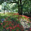 영광칠산타워 입구 이미지