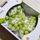 채니농장 이미지