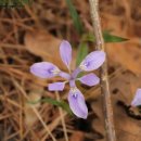 여항면사무소 이미지