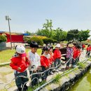 삼성현유치원 이미지