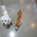 심바스튜디오 이미지