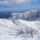 소백산식물원
