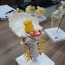 논현우리한의원 이미지