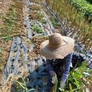 영복목장 이미지