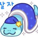 와우펫앤쥬 부산점 네이버블로그