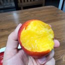 운경농장 이미지