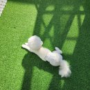 로엘유치원 이미지