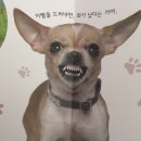 용궁 이미지