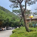 물레방아농장 | [용인 물레방아] 닭백숙 맛집 / 복날 꼭 방문해야...한국 민속촌 근처 맛집 / 내돈내산 누룽지 닭백숙 후기