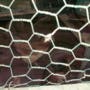 정모농장 이미지