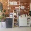 십일시커피 이미지