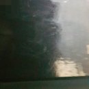 그린화성주유소 이미지