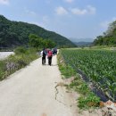 2012년 6월 정기산행// 정선 백운산(산가람 대장님) 이미지