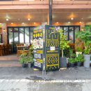 벚꽃마을 이미지