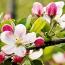 수원오토컬렉션 이미지