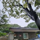 오금로219(방이고분군) 네이버블로그