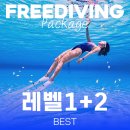 [8주과정]스마트스토어 (초급) | 서울프리다이빙 88다이빙 강습 후기 | 프리다이빙 자격증 AIDA1 프리다이빙 배우는곳