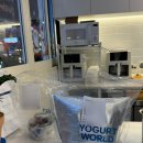 요거트월드 | 부평맛집 | 인천 삼산동 굴포천역 요거트 월드 내돈내산 솔직후기