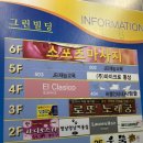 멍냥멍냥 미용실 이미지