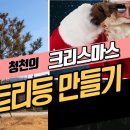 못생긴 소나무에 태양광 트리등 만들어 줬습니다 이미지