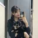 견국지색 네이버블로그