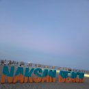 중앙-9 | 양양 낙산해수욕장, 속초중앙시장 먹거리 밤 9시 방문 후기