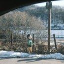 용인자연휴양림 야영장 이미지