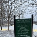 (주)씨앤씨홀스넷 | [캐나다 D+9] 나이아가라, 캐나다에서 미국으로 당일치기 왕복하기_20260103