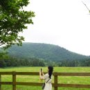 이주목장 이미지