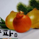 은혜건강원 네이버블로그