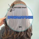 지산로115번길 네이버블로그