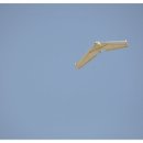 2월 리버사이드 이미지