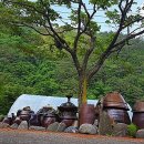 별꽃둥지민박 이미지