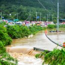 남천제방 이미지