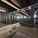 비비헬스클럽 이미지