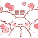 페이퍼룸 (Paper Room)