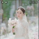 다믐 | 본식 DVD 생략 했으면 후회했을 스튜디오다믐 촬영 후기