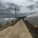 초천2리 이미지