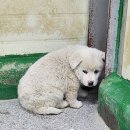 안정로14번길 이미지