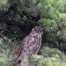 속초시청 이미지