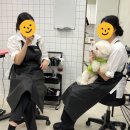 늘솔길애견미용실 이미지