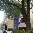 그린월풀빨래방2호점 | [중국 상하이 여행] shanghai chalet hotel(구샹산리 호텔) 후기 &amp; 아시아나 왕복(인천-푸동) 기내식